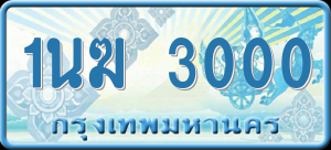 ทะเบียนรถ 1นฆ 3000 ผลรวม 0