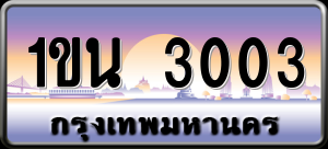 ทะเบียนรถ 1ขน 3003 ผลรวม 15
